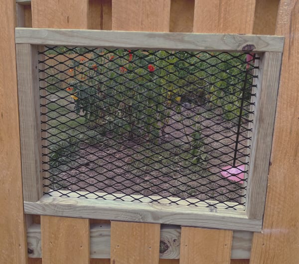 A framed window of black welded wire mesh set into a wood fence panel so a dog can see through.