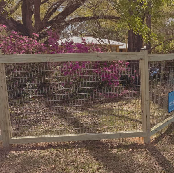 Welded wire mesh set into a wood frame fence, running under an oak canopy past flowering azalea.