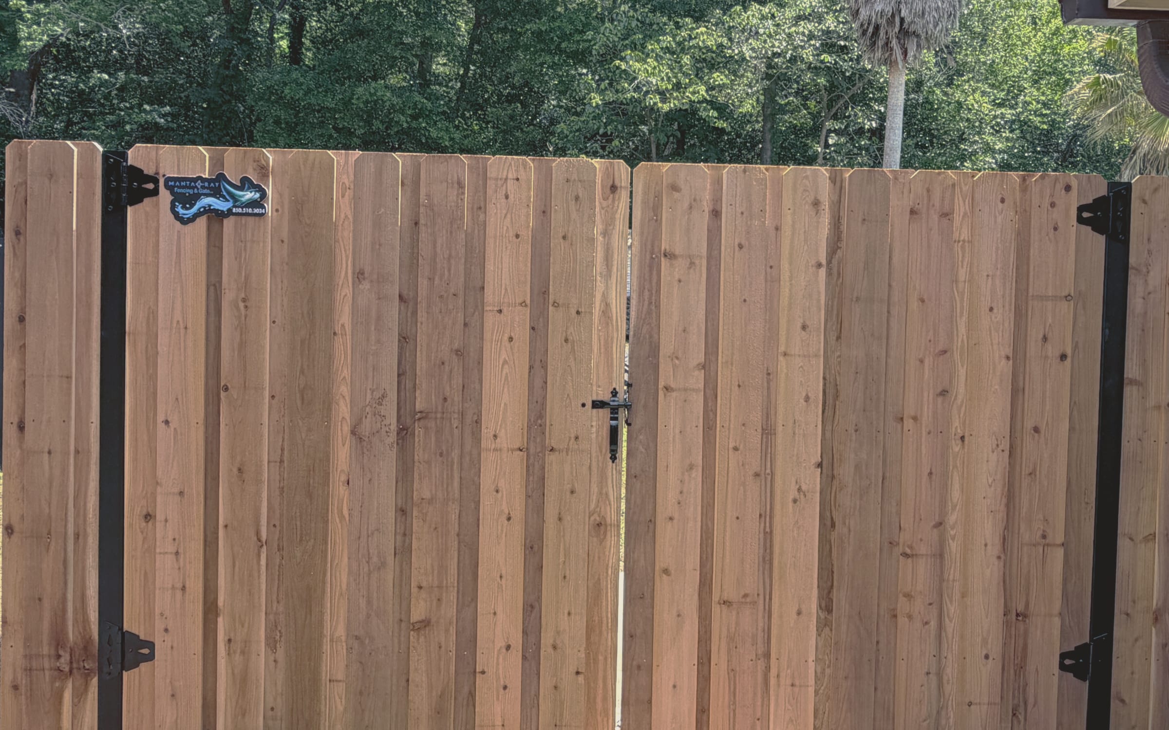 A wide double wood gate with black steel posts and heavy black strap hinges, a drop rod latch at the centre, palms and green canopy behind it.