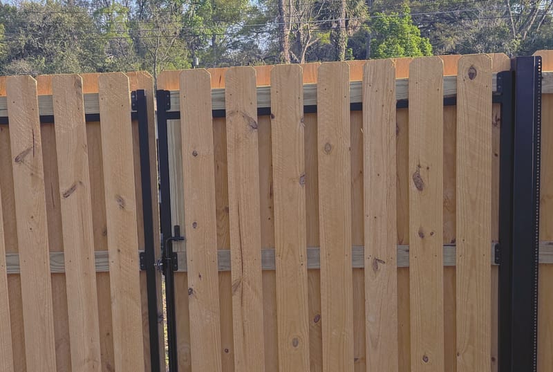 A board on board wood privacy fence lit by warm evening sun, with slim black steel posts and a centre gate fitted with a black latch and drop rod.